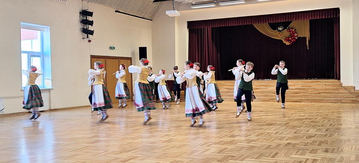 apžiūra dainų šventei